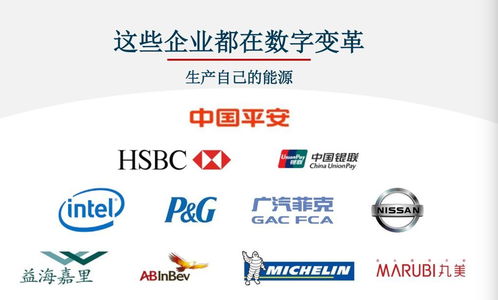 對標Adobe，Nequal如何以數據與技術雙引擎賦能企業智慧商業